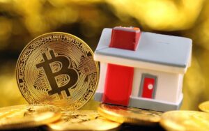 Cryptocurrency License